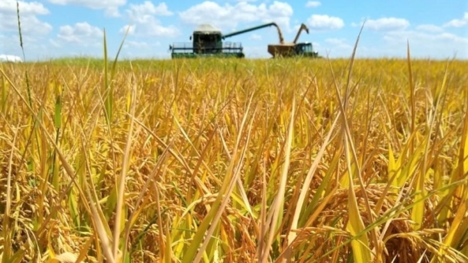 Safra 2020/2021 chega ao fim com produtividade recorde no RS