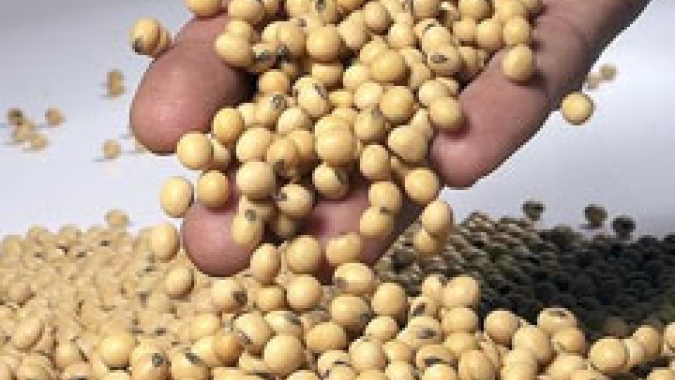 Mercado da soja segue sequência de altas e baixas aguardando safra no Brasil; hoje começou em baixa
