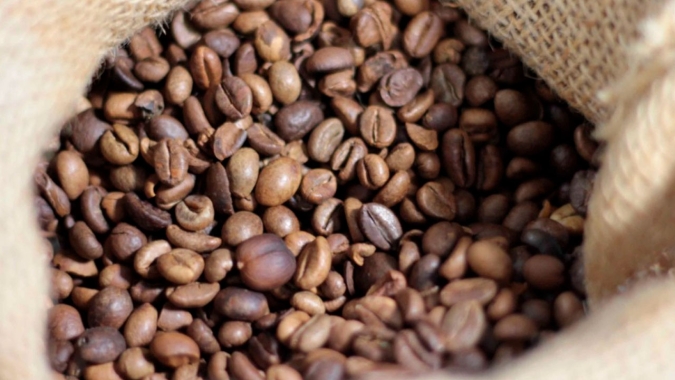 Café: Mercado começa semana com poucas variações; NY não operou nesta 2ª feira