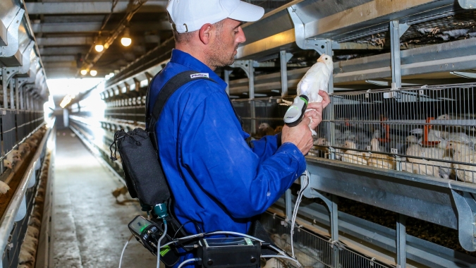 Rússia registra 1º caso no mundo de infecção humana com cepa H5N8 de gripe aviária