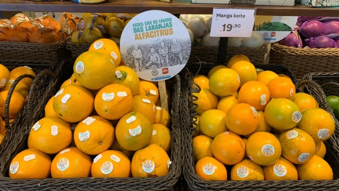 Safra de laranja de SP/MG termina 2019/20 com avanço de 35,3%, diz Fundecitrus