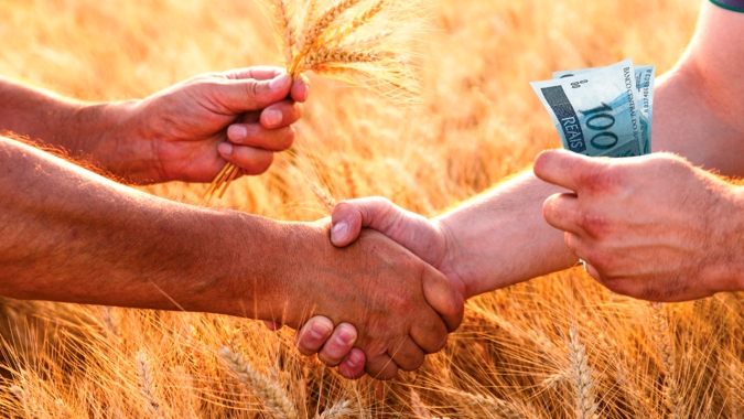 Sistema Famasul divulga relatório sobre o avanço da agropecuária em MS