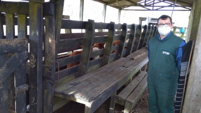 Secretaria da Agricultura RS alerta para surtos de Tristeza Parasitária Bovina