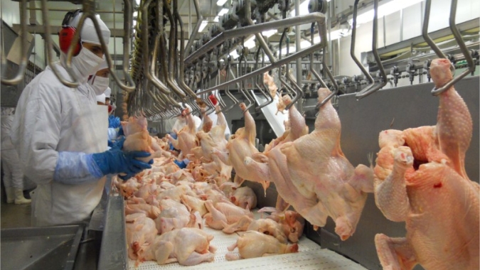 ABPA reforça importância de cuidados em mensagem aos trabalhadores das Agroindústrias