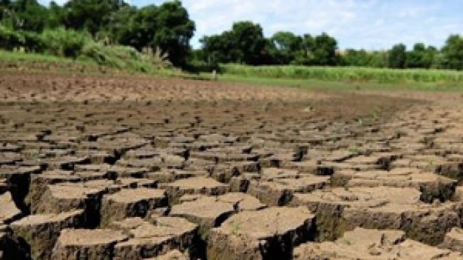 Agricultura do RS apresenta demandas ao Ministério da Agricultura para apoio aos atingidos pela estiagem