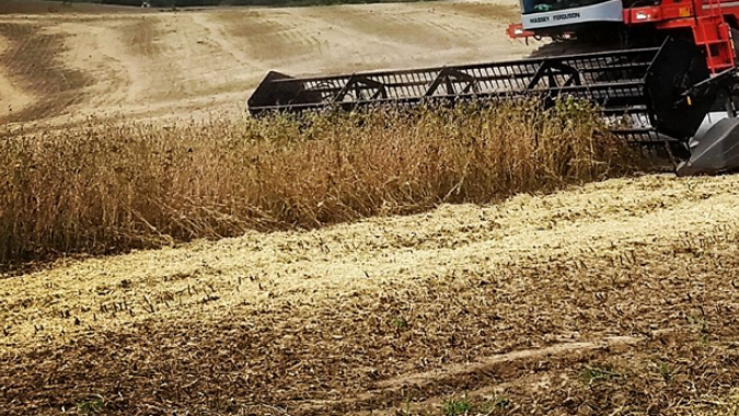 O futuro da agroindústria é tema de debate na quarta-feira