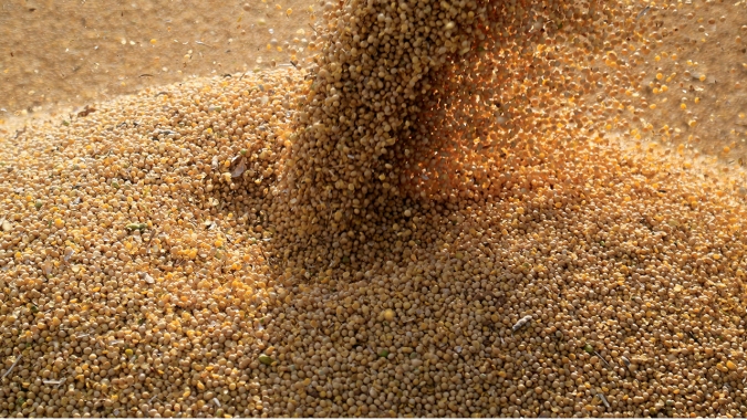 Safra de grãos tem coleta de dados esta semana em MG
