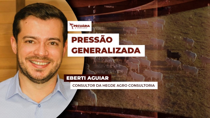 Pressão sobre o boi gordo também afeta outras categorias