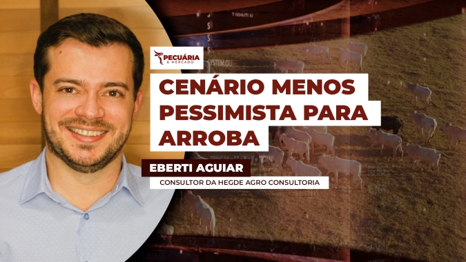 Pessimismo para os preços da arroba entre julho e agosto pode ser revertido com novos cenários
