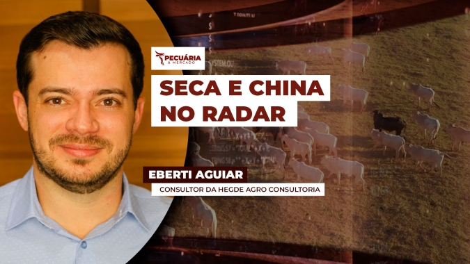 Boi Gordo: Consultor da Hegde Agro Consultoria avalia cenário de oferta elevada, mercado futuro e perspectivas para o segundo semestre