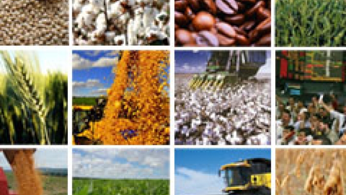 Commodities pesam e IGP-DI passa a subir 3,40% em maio, diz FGV