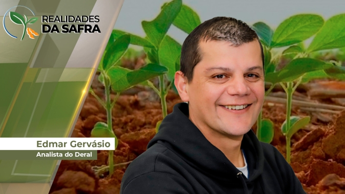 Lavouras de soja se desenvolvem bem no Paraná e Deral espera 2,4 milhões de toneladas