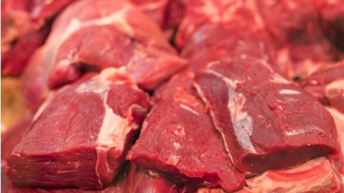 Antes do fechamento do mês, embarques de carne bovina já ultrapassam dezembro de 2024