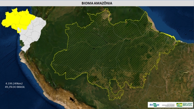 Satélite de monitoramento da Amazônia a ser adquirido vai complementar trabalho do Inpe, diz Defesa