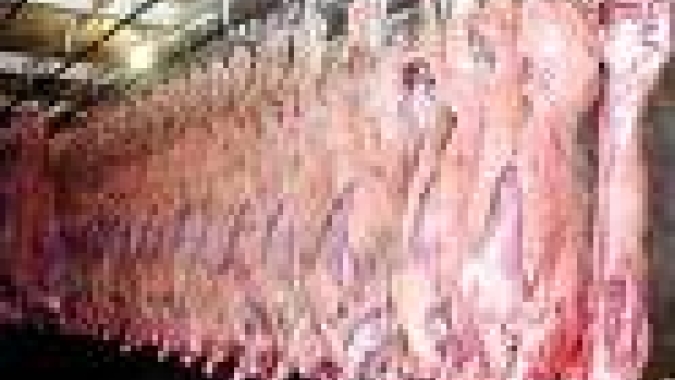Exportações de proteína animal em MS ultrapassam 20% no primeiro trimestre