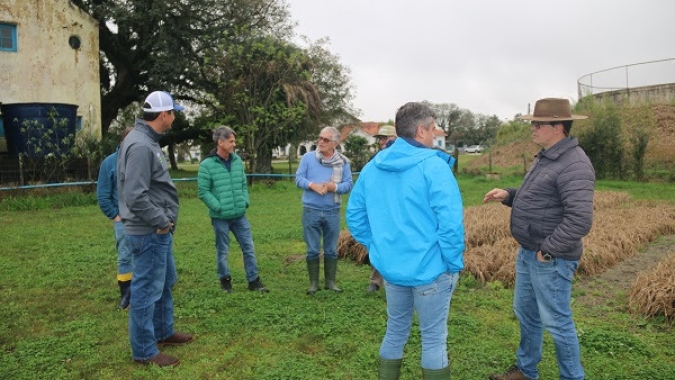Embrapa Pecuária Sul recebe visita de professores da Universidade da Flórida e da UFRGS