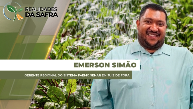 Chuvas na região de Juiz de Fora/MG afetaram produtores de hortifrutis e leite