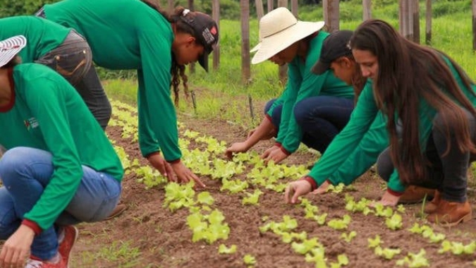 Agro registra 28,1 milhões de trabalhadores no 1º trimestre de 2023
