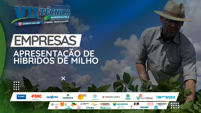 Apresentação de híbridos de milho