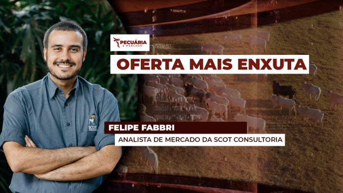 Menor oferta de animais já começa a refletir no tamanho das escalas de abate, arroba reage
