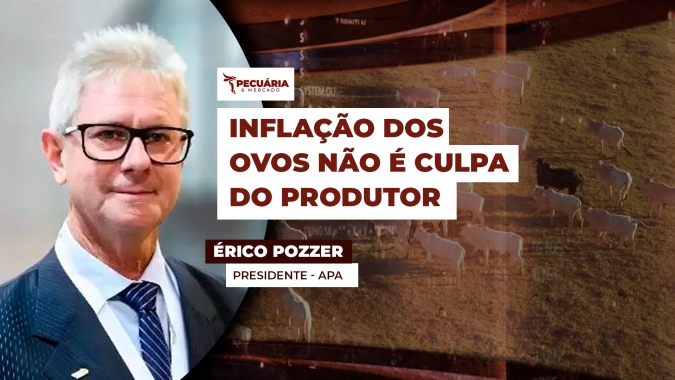 Associação alega que existe um descolamento nos preços dos ovos ao consumidor em relação ao valor recebido pelo produtor