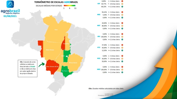 Boi: escalas de abate em São Paulo estão em seu maior nível desde janeiro de 2020