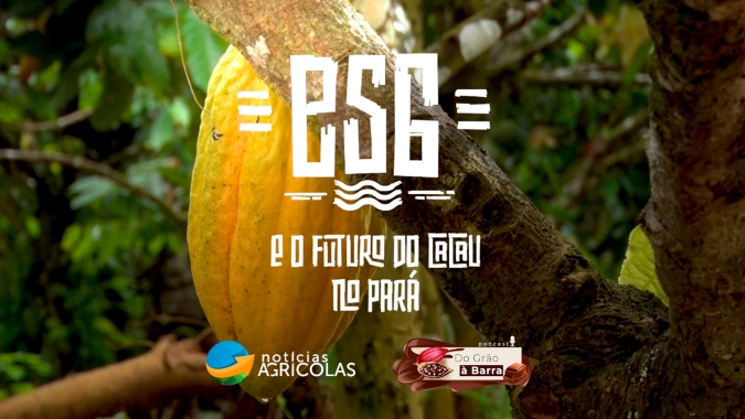 Do Grão à Barra #55 - ESG e o futuro do cacau no Pará - Economia, o primeiro passo para equilibrar um setor que se recupera de erros do passado