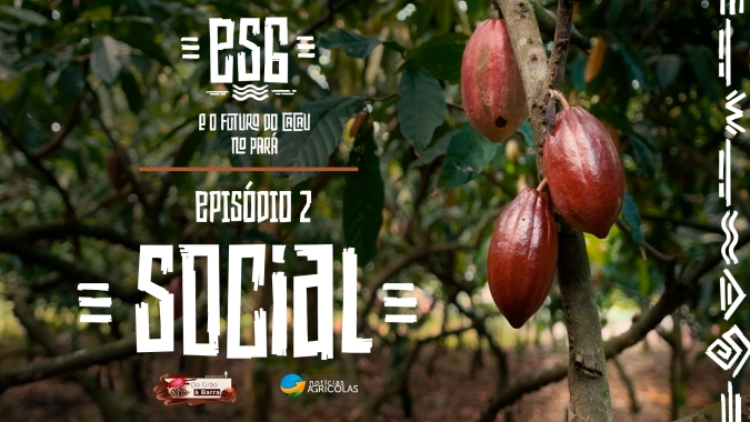 Do Grão à Barra #56 - ESG e o futuro do cacau no Pará - O setor do cacau passa por uma transformação social, com melhores remunerações aos produtores que focam na qualidade das amêndoas