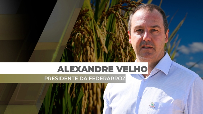 2024 complicado para o arroz com chuva, ameaça de leilão e dificuldades de infraestrutura