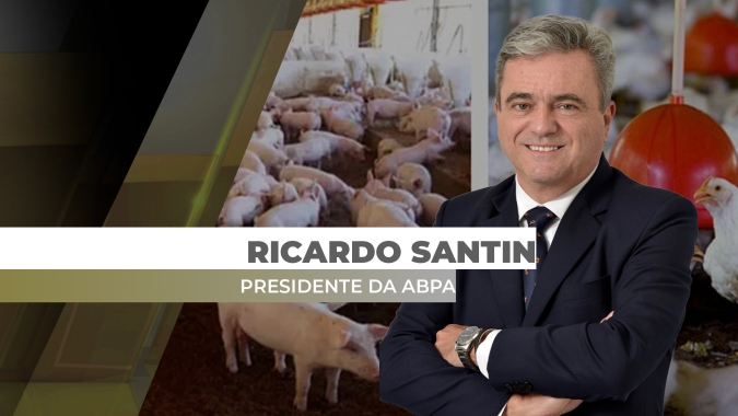Suinocultura e avicultura de corte e postura têm bom desempenho em 2024, e ABPA projeta bons resultados para 2025