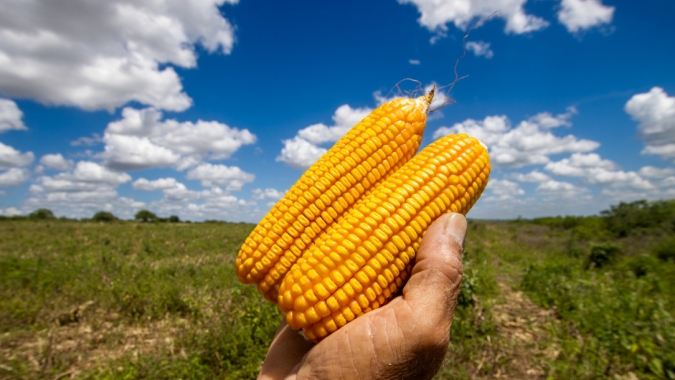 Federação da Agricultura de Sergipe lamenta mudanças do Proagro que inviabilizam produção no estado