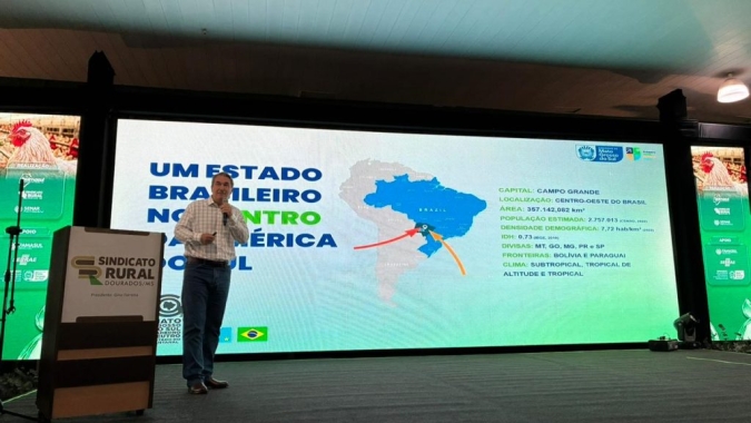 Estado aposta em incentivos e sanidade para ampliar competitividade da avicultura em MS