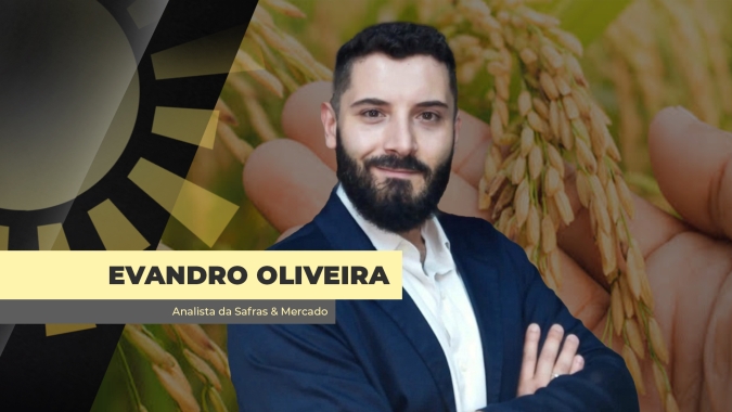 Brasil precisa dar 'gás' nas exportações de arroz em agosto, já que em setembro, EUA chega com safra cheia e mais competitiva