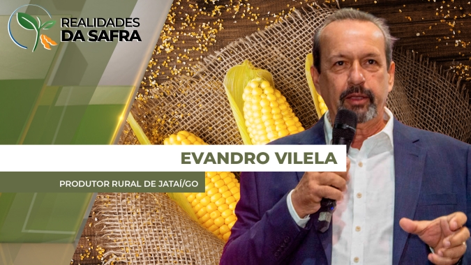 Segunda safra de milho em Jataí / GO passa por período período de falta de chuvas