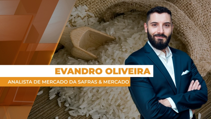 Preços do arroz estancam perdas e assumem estabilidade no mercado brasileiro; atenção à concorrência com o Mercosul