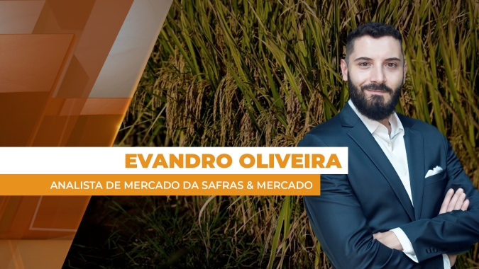 Mesmo com oferta abundante e potencial de recordes de produção, mercado do arroz no Brasil enfrenta redução da demanda interna e externa