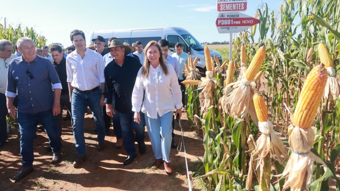 Vale do Araguaia pode tornar Goiás o 3º maior produtor de grãos do País