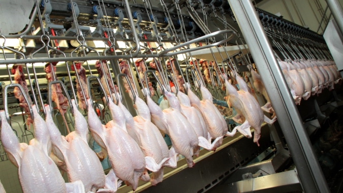 Frango: volume embarcado e receita até este momento de março chegam quase a 60% das exportações de março/24