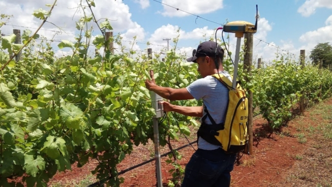 Parceria com a EPAMIG fortalece projetos de agricultura de precisão para produção de vinhos