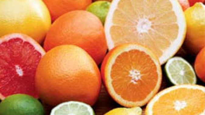 Exportação de frutas cítricas pode crescer com produtores do Norte de Minas