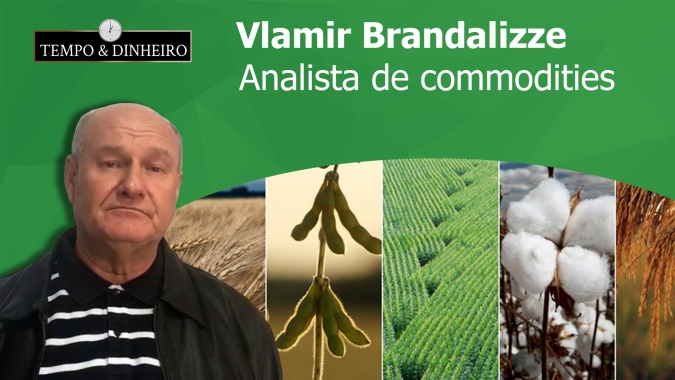 Vlamir Brandalizze: USDA derruba qualidade da Soja e Chicago avança