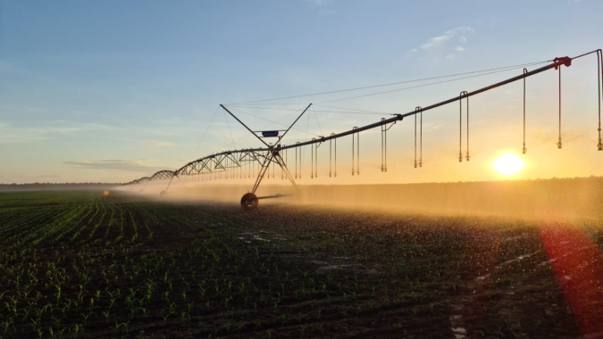 Brasil pode ampliar potencial de agricultura irrigada, diz ministra