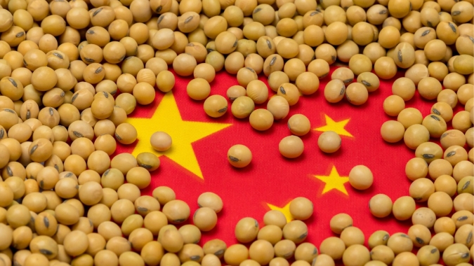 USDA informa venda de 130 mil t de soja para a China, mas BR ainda lidera vendas para nação asiática