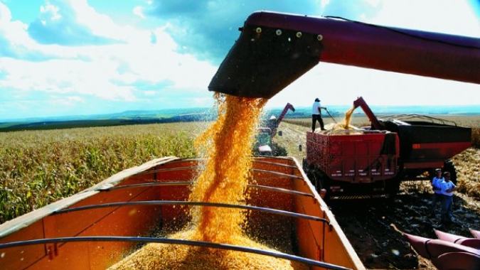Colheita da soja no Brasil alcança 16,78% da área e mantém atraso, informa Pátria Agronegócios