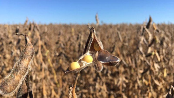 Soja volta a subir forte em Chicago nesta 3ª feira e se aproxima dos US$ 13,40 por bushel