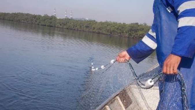 Mais de 700 licenças de pescadores são suspensas em 11 estados e no DF