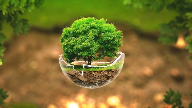 FAESP auxiliará produtores na regularização ambiental