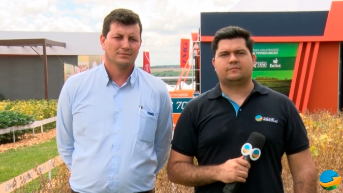 Produtor já tem disponíveis novas cultivares de soja resistentes à ferrugem e altas temperaturas