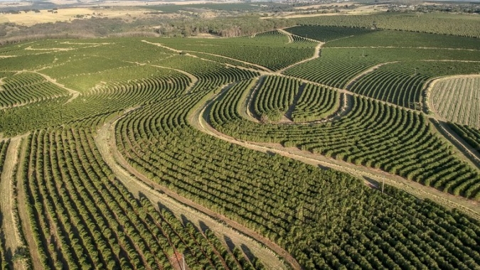 FAESP alerta produtores rurais sobre regularização ambiental