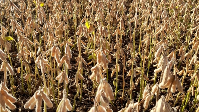 Agropecuária puxa desempenho do PIB do Rio Grande do Sul